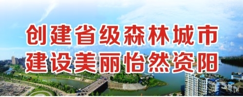 猛干老骚货视频创建省级森林城市 建设美丽怡然资阳